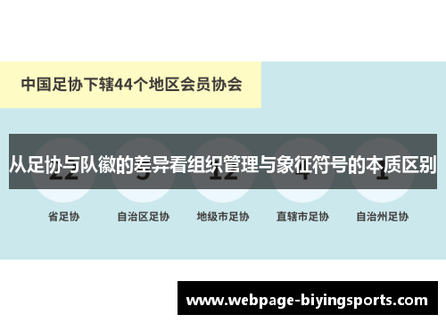 从足协与队徽的差异看组织管理与象征符号的本质区别