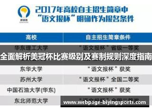 全面解析美冠杯比赛级别及赛制规则深度指南