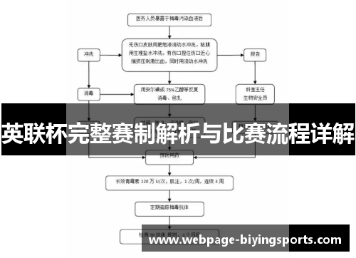 英联杯完整赛制解析与比赛流程详解